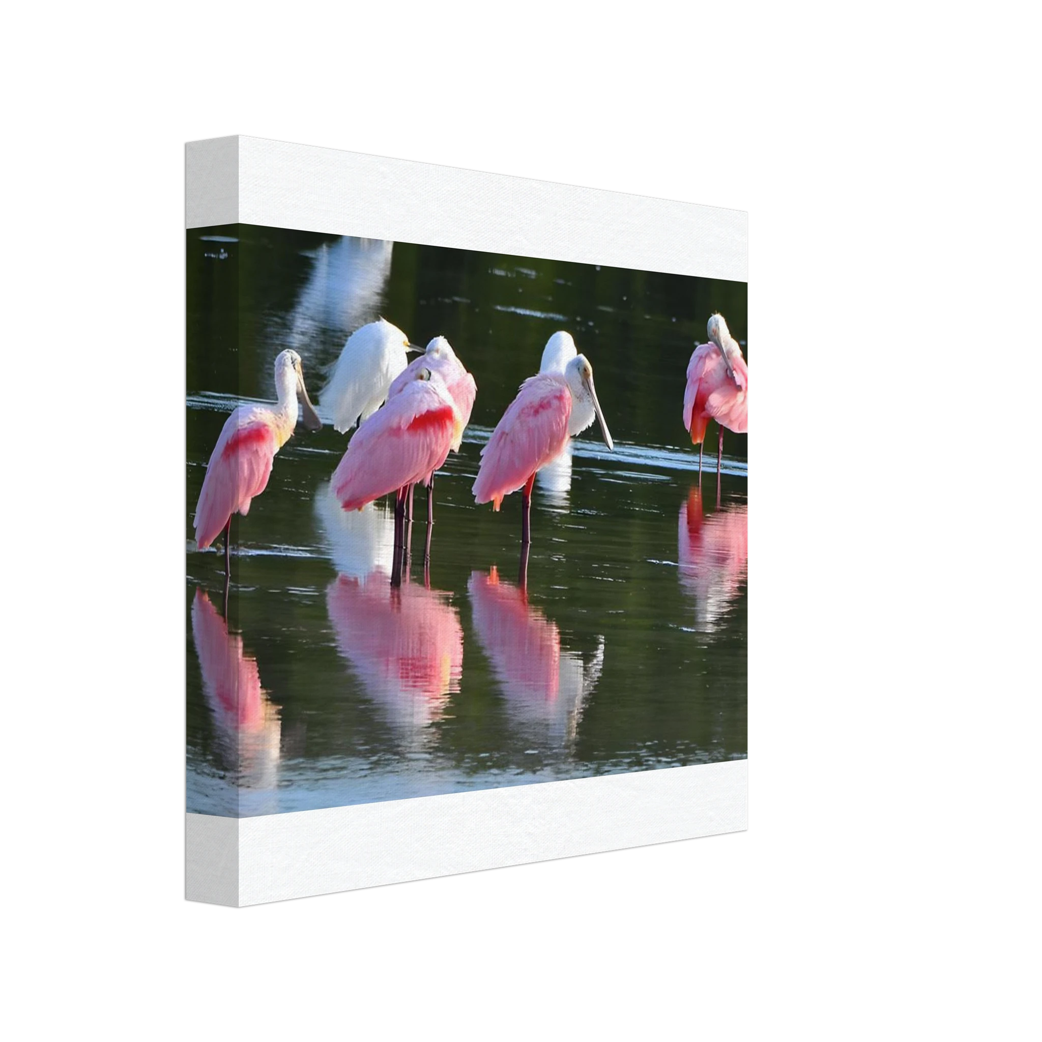 95bcf835-a7ea-4a73-b75b-951ea7607135