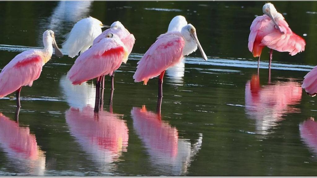 a485b71d-508b-43c4-9304-ad8c04ea8e38