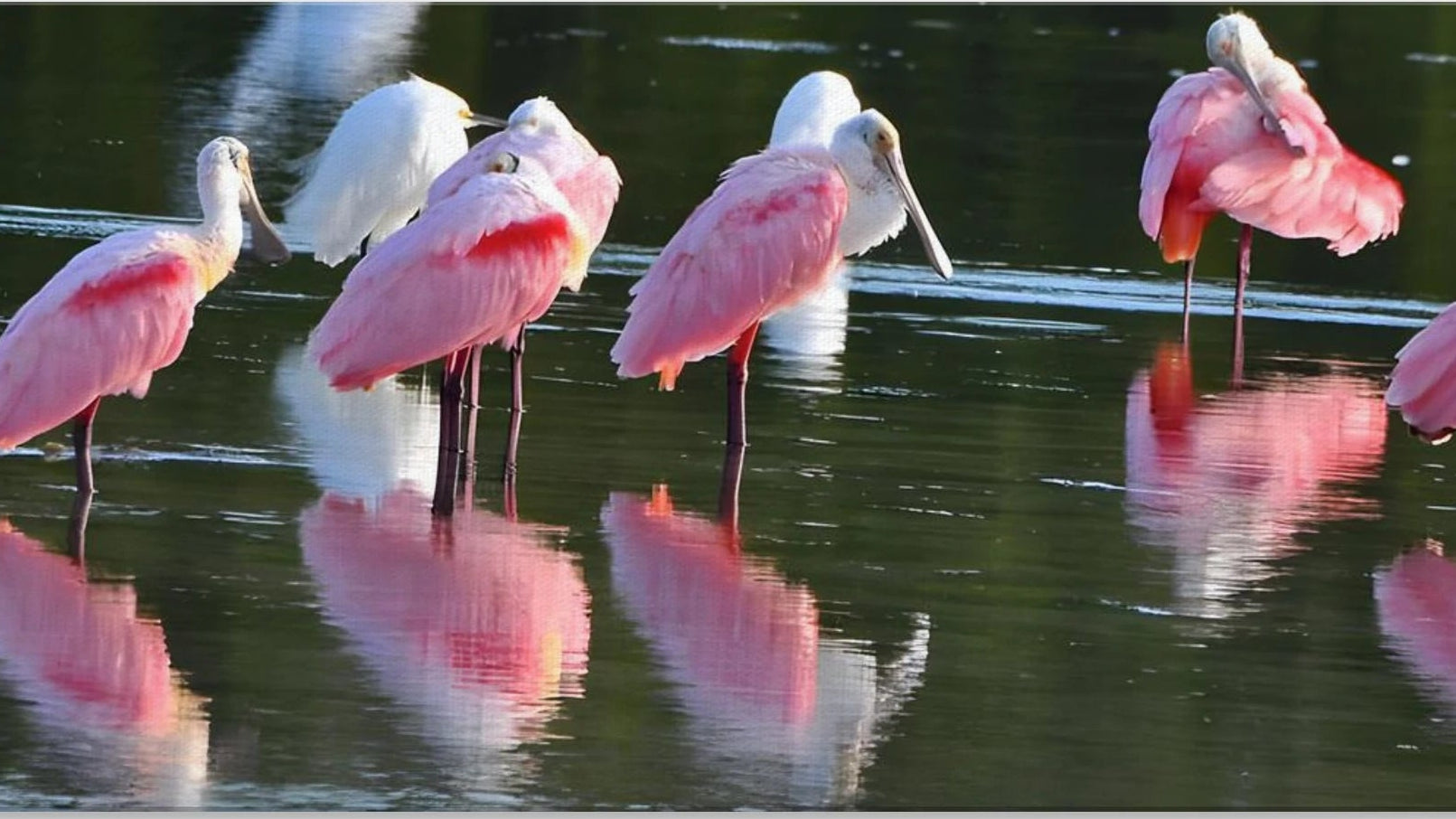 a485b71d-508b-43c4-9304-ad8c04ea8e38