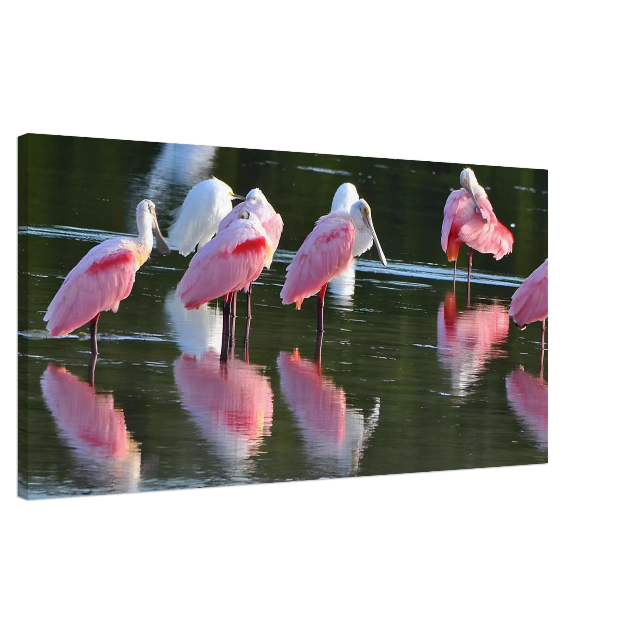 bf76ca22-00ab-4f31-b381-370752aeb344